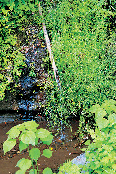 【鎌倉×キーワード】鎌倉五水(鎌倉五名水)