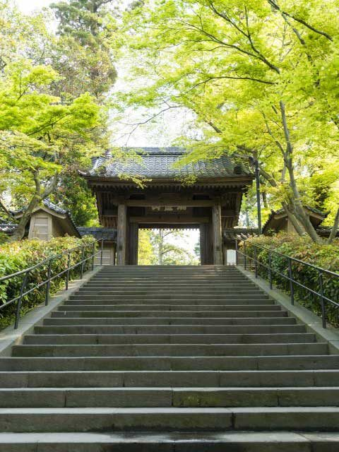 【円覚寺】石段を上ると厳粛な空気「総門」