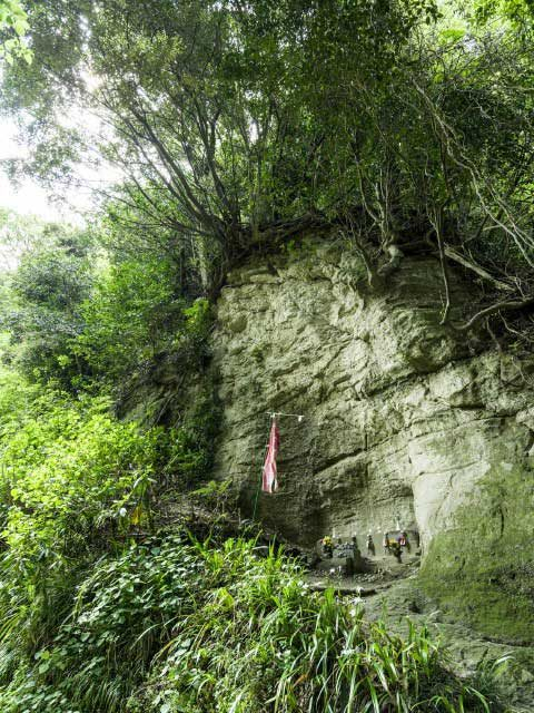 【鎌倉七口】亀も引き返すほどの急坂は緑が映える古道「亀ヶ谷坂切通」