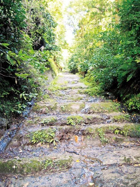 【鎌倉七口】かつての面影を色濃く残す七口きっての長い道が続く「朝夷奈切通」