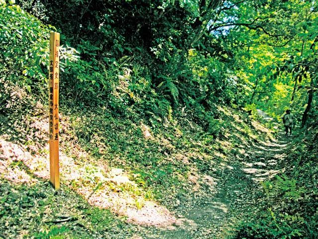 【鎌倉七口】岩場の中を歩いていく「大仏切通」