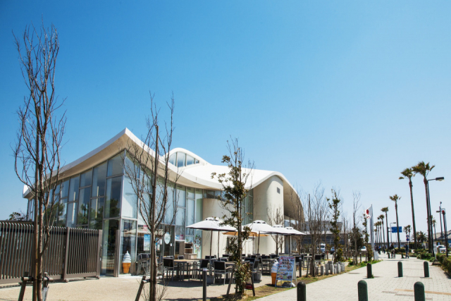 江の島のおすすめカフェ④ cafeとびっちょ江の島ヨットハーバー店