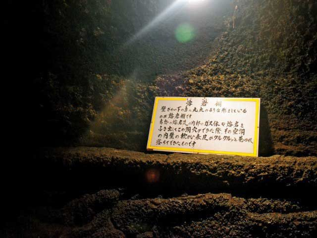 珍しいヒカリゴケをめざして探索