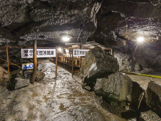 洞窟の奥にあるヒカリゴケは必見