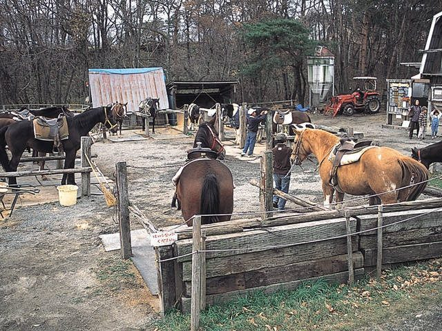 〈清里高原の観光スポット〉小須田牧場