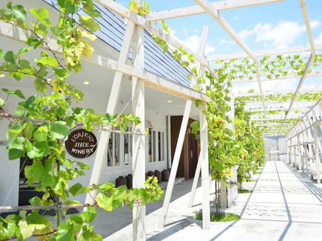 ロリアンワイン白百合醸造