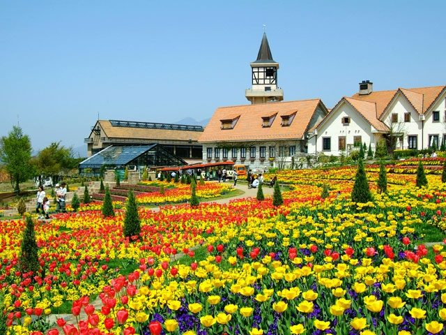 【清里高原×観光立ち寄りスポット】ハイジ気分を満喫「花と幸せのテーマビレッジハイジの村」