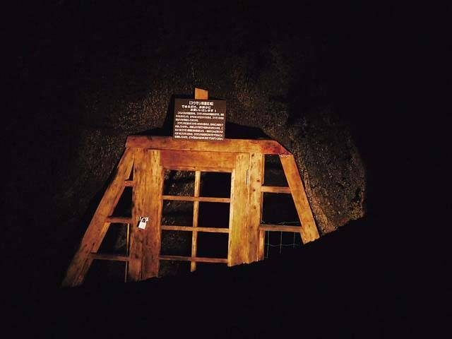 溶岩の流れた跡がはっきりわかる!