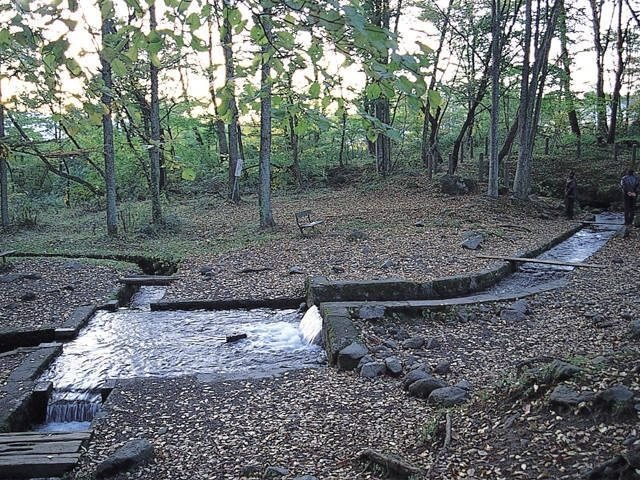 【清里&甲斐大泉×観光】三分一湧水(さんぶいちゆうすい)