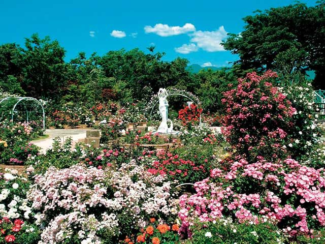 ハーブ庭園旅日記