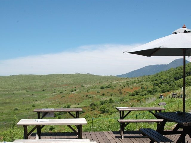 立ち寄りインフォ