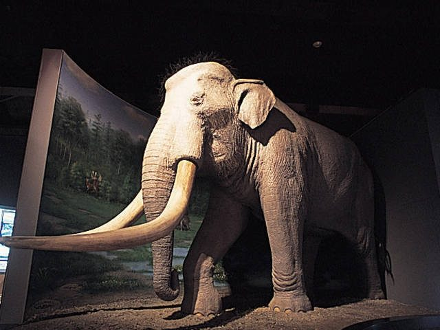 長野唯一の県立歴史館「長野県立歴史館」