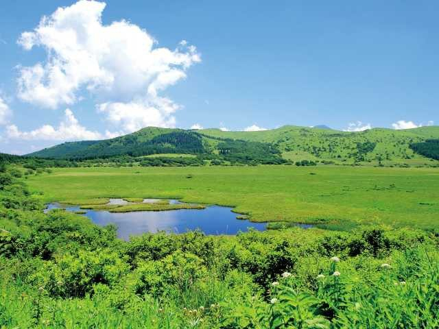 【霧ヶ峰高原×ハイキング】八島湿原