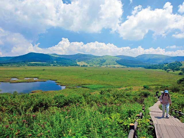 【蓼科ビーナスライン×ドライブ】八島湿原