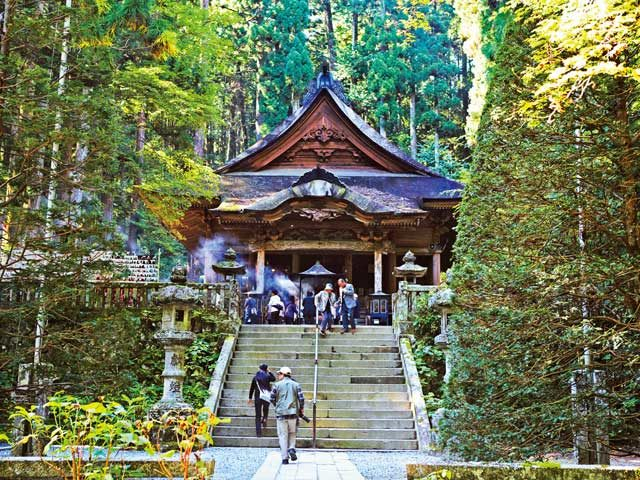 【伊那谷×観光】満開の桜が境内を幽玄に彩る「光前寺」