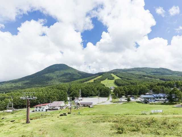 【長野・東御×観光】なだらかな山で花を眺めながら散策「湯の丸高原」