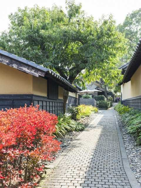 ①風情ある細道、栗の小径を歩く