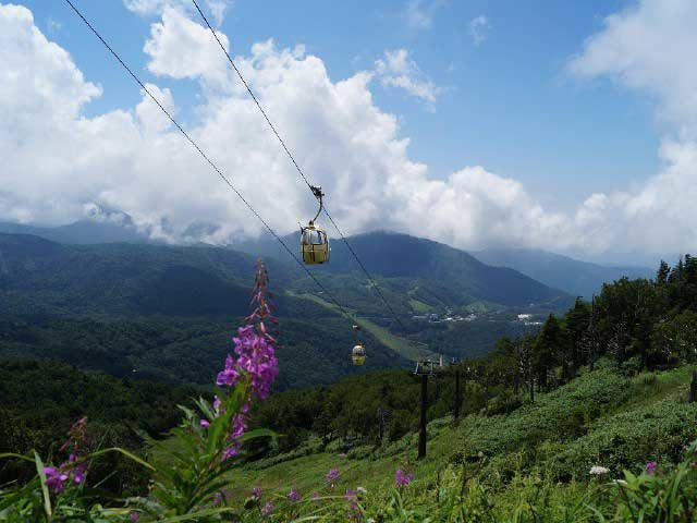 東館山高山植物園