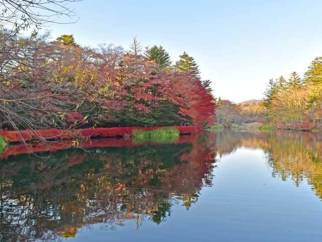 軽井沢をサイクリングでめぐろう⑥ 雲場池