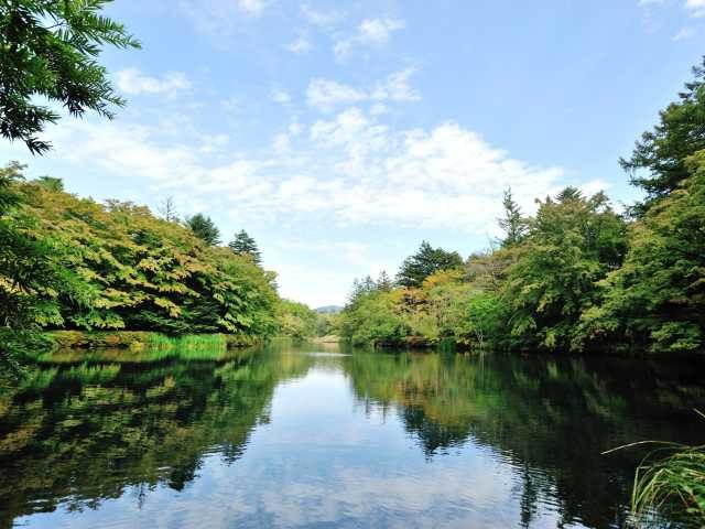 【旧軽井沢サイクリングコース】雲場池