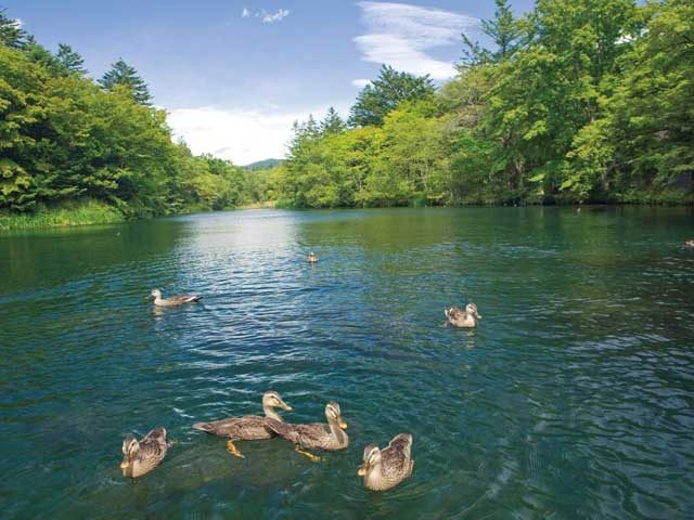 軽井沢をサイクリングでめぐろう⑥ 雲場池