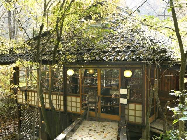 軽井沢のおすすめ森のカフェ♪輝くグリーンに癒やされよう - まっぷるトラベルガイド