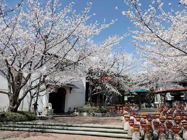 レストラン さくら