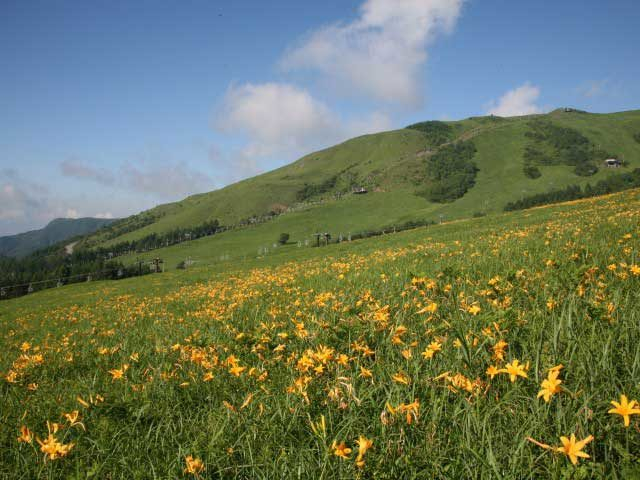 【高原】長野の絶景スポット:車山高原