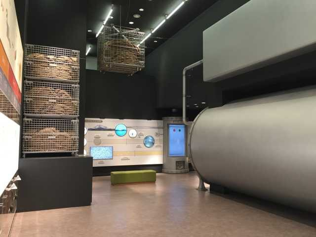 養命酒健康の森