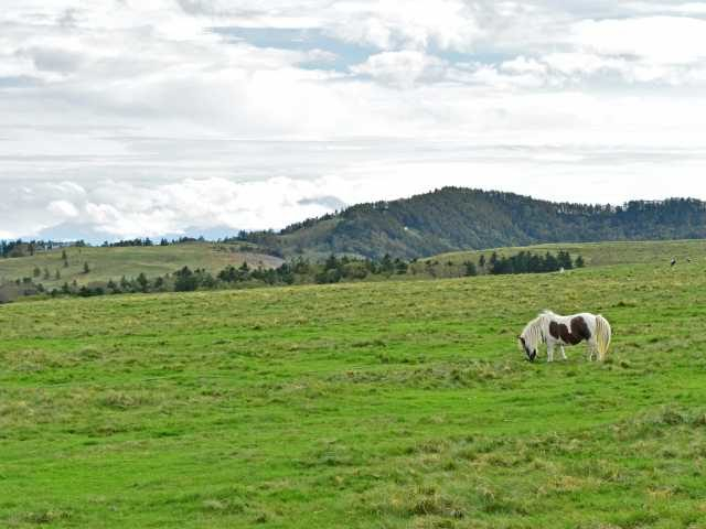【蓼科ビーナスライン×ドライブ】美ヶ原高原