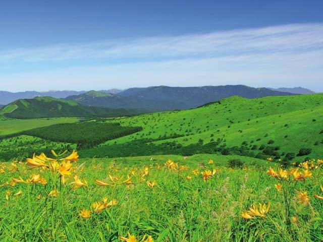 霧ヶ峰高原のトレッキングコース