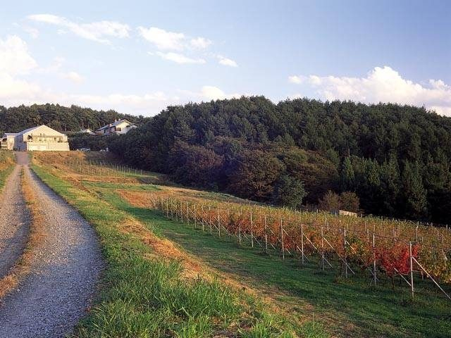 【長野・東御×観光】広大なワインファーム「ヴィラデスト ガーデンファーム アンド ワイナリー」