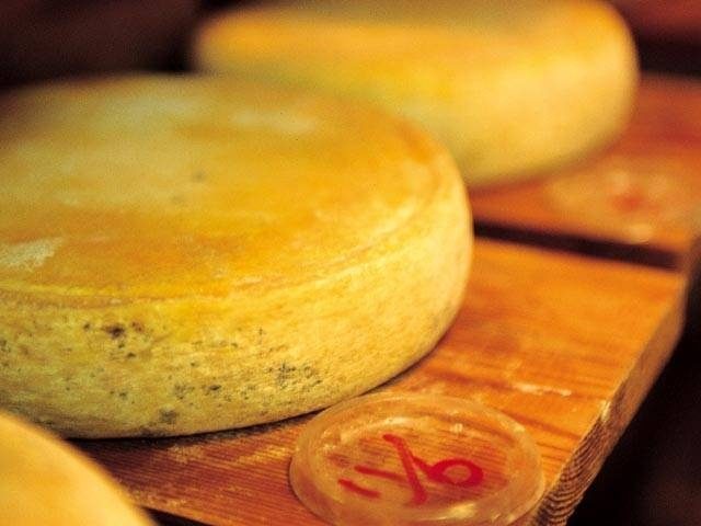 清水牧場・チーズ工房