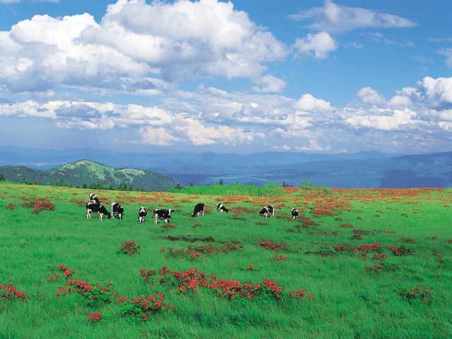 美ヶ原高原のトレッキングコース