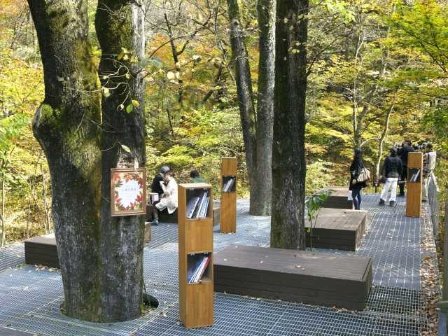 ハルニレテラスの話題のショップをご紹介