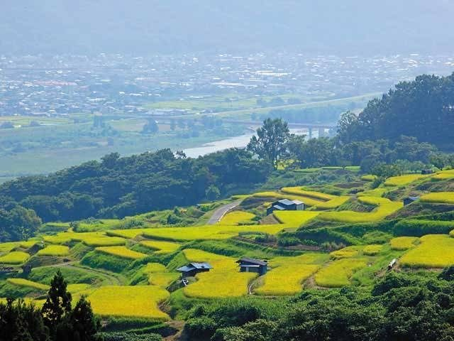 日本の棚田百選に選ばれた「姨捨の棚田」