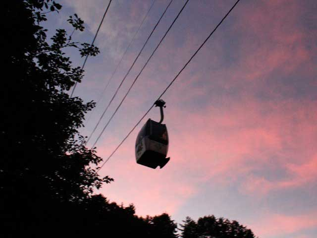 ツアー内容をチェック!