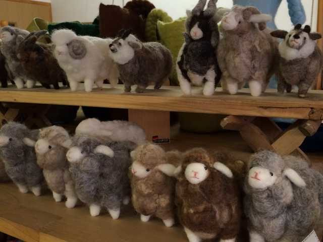 【北国街道・柳町×観光】スタジオケイナ