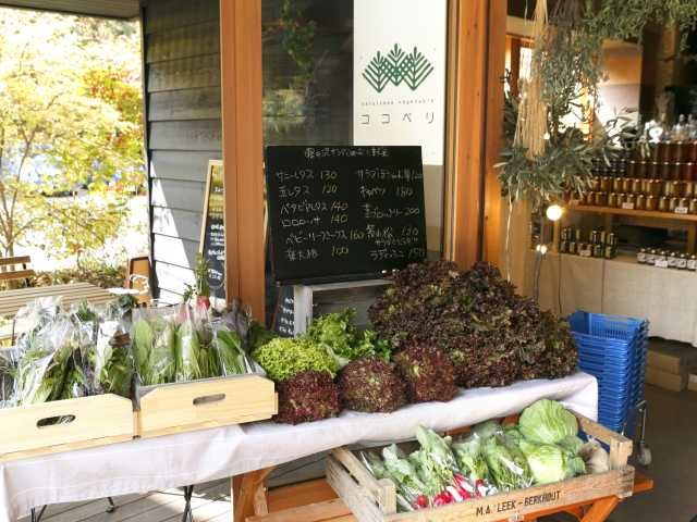 Karuizawa Vegetableココペリ