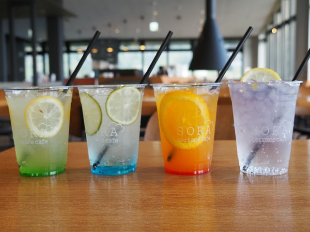 SORA terraceの最新トピックス