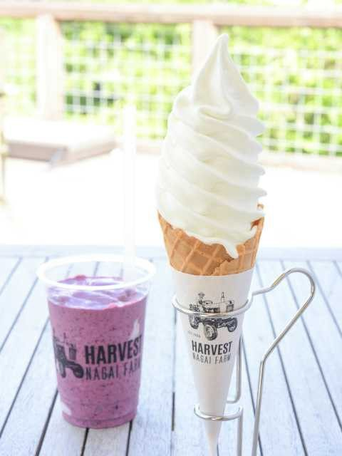 【長野・東御×グルメ】永井農場グルメを楽しめる「HARVEST NAGAI FARM」