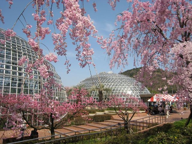 【名古屋観光おすすめ②】東谷山フルーツパーク