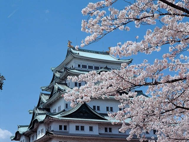 5 春・秋のイベント