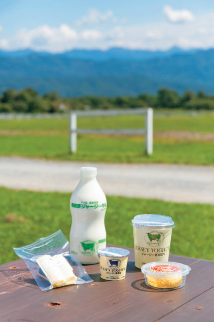 【山梨のお土産13】清里の乳製品