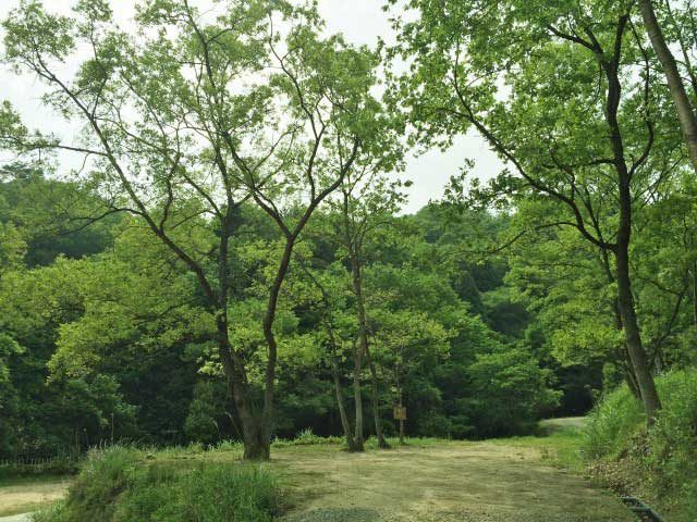 7.アウトドアブランドのネイチャーフィールド スノーピーク箕面自然館/スノーピーク箕面キャンプフィールド(大阪府)