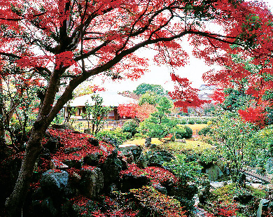 名勝二之丸庭園