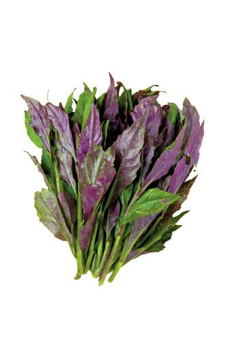 八ヶ岳の高原野菜がおいしいランチ店はこちら!