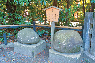 水で洗うと文様が浮かび上がる!鶴岡八幡宮の「鶴亀石」