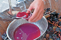 こんな体験もできる!