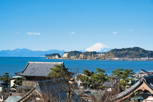 海辺に建つ湘南四大寺のひとつ「光明寺」
